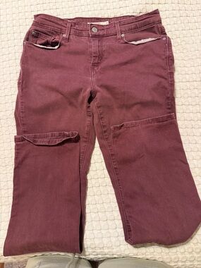 Levi Maroon jeans - Casual Pocket Joggers